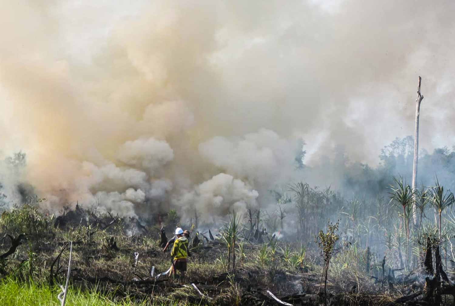 Waldbrand in Borneo
